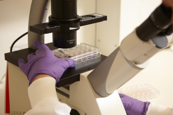 Corona financiering onderzoeken KiKa