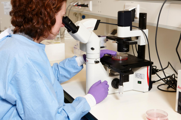 Nieuw type kankercel gevonden bij kinderen met neuroblastoom